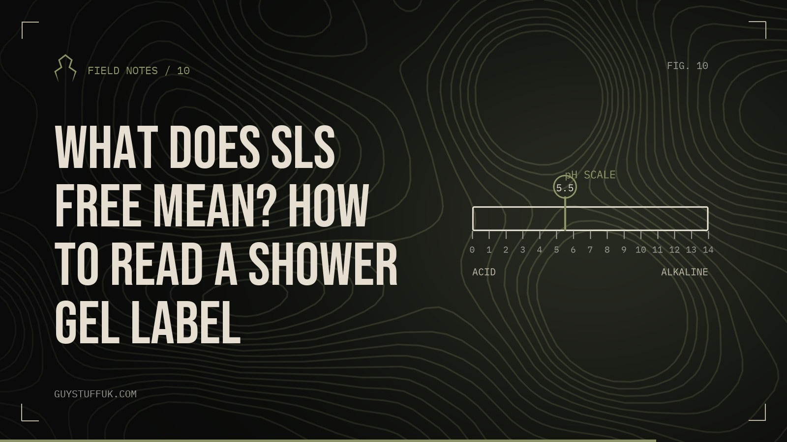 GUYSTUFF Field Notes: What does SLS free mean? How to read a shower gel label